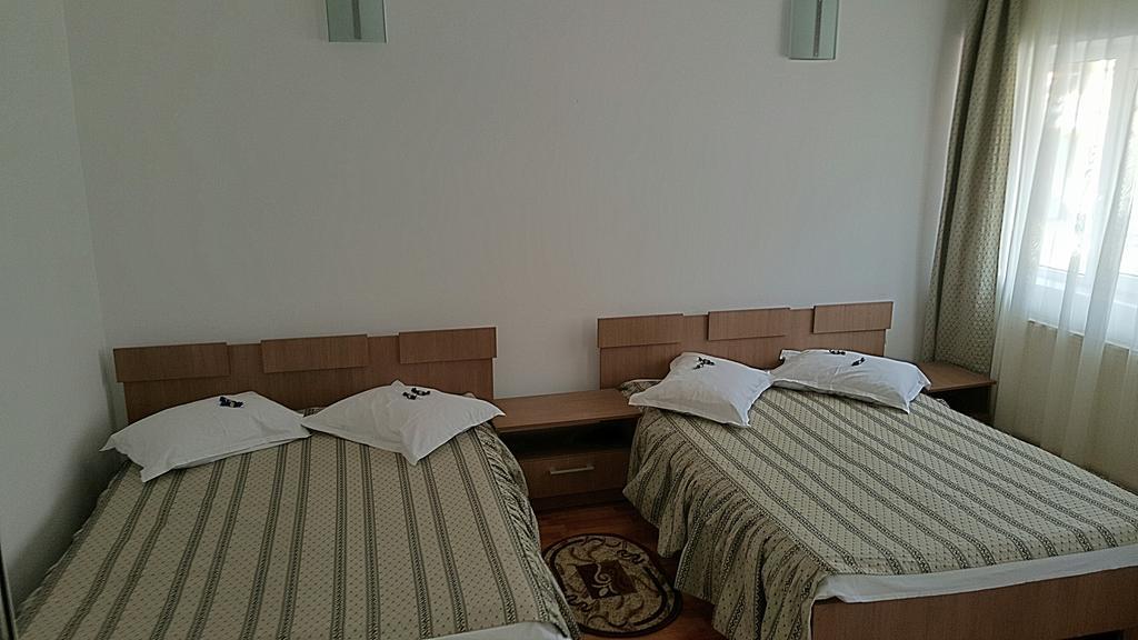 Pensiunea Perla Ariesului Albac Exterior foto
