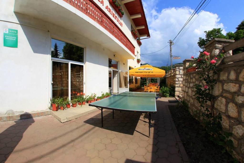 Pensiunea Perla Ariesului Albac Exterior foto