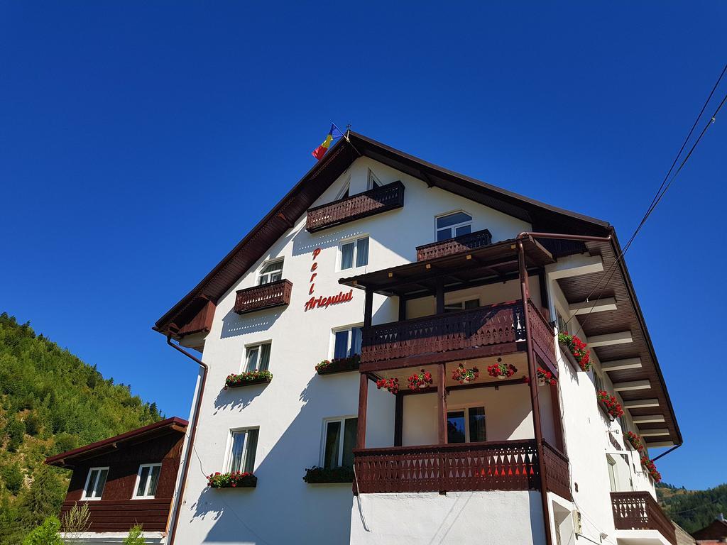 Pensiunea Perla Ariesului Albac Exterior foto